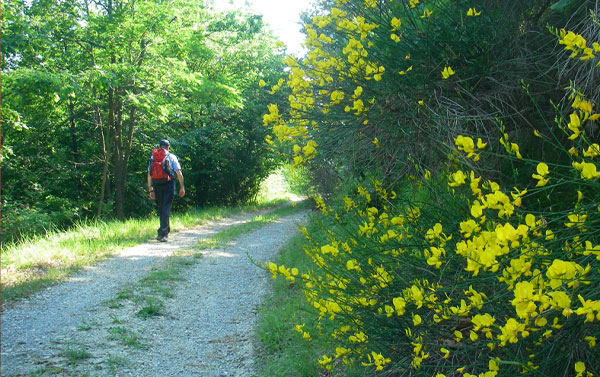 escursioni-alta-langa-agriturismo